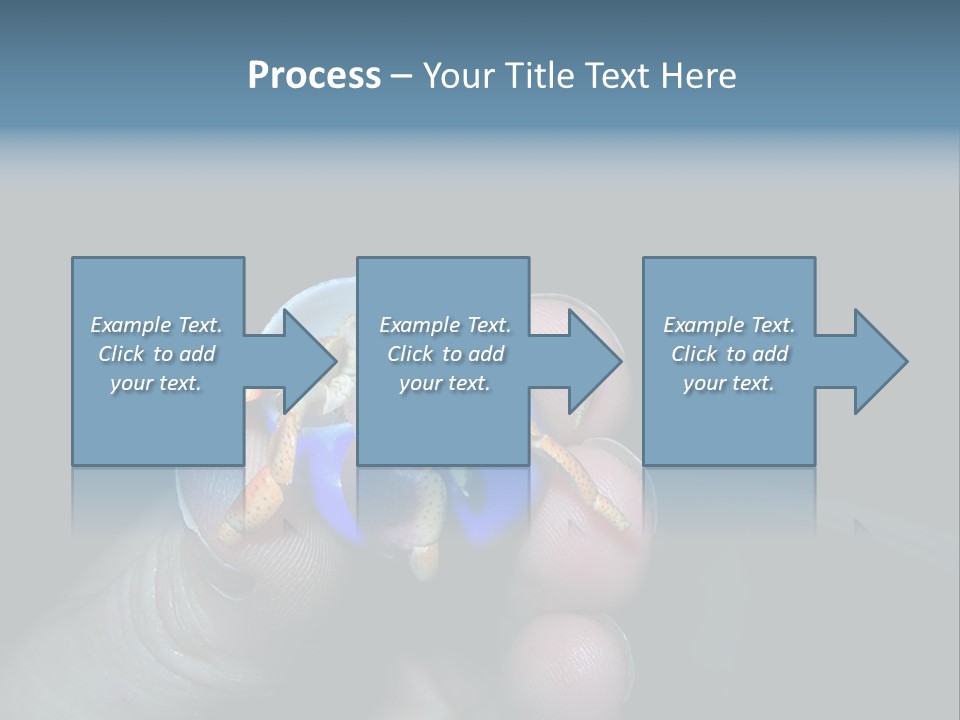 Hermit Crab PowerPoint Template