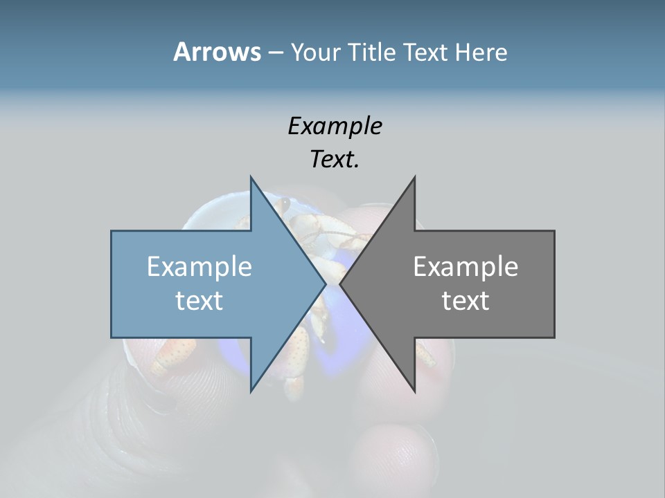 Hermit Crab PowerPoint Template