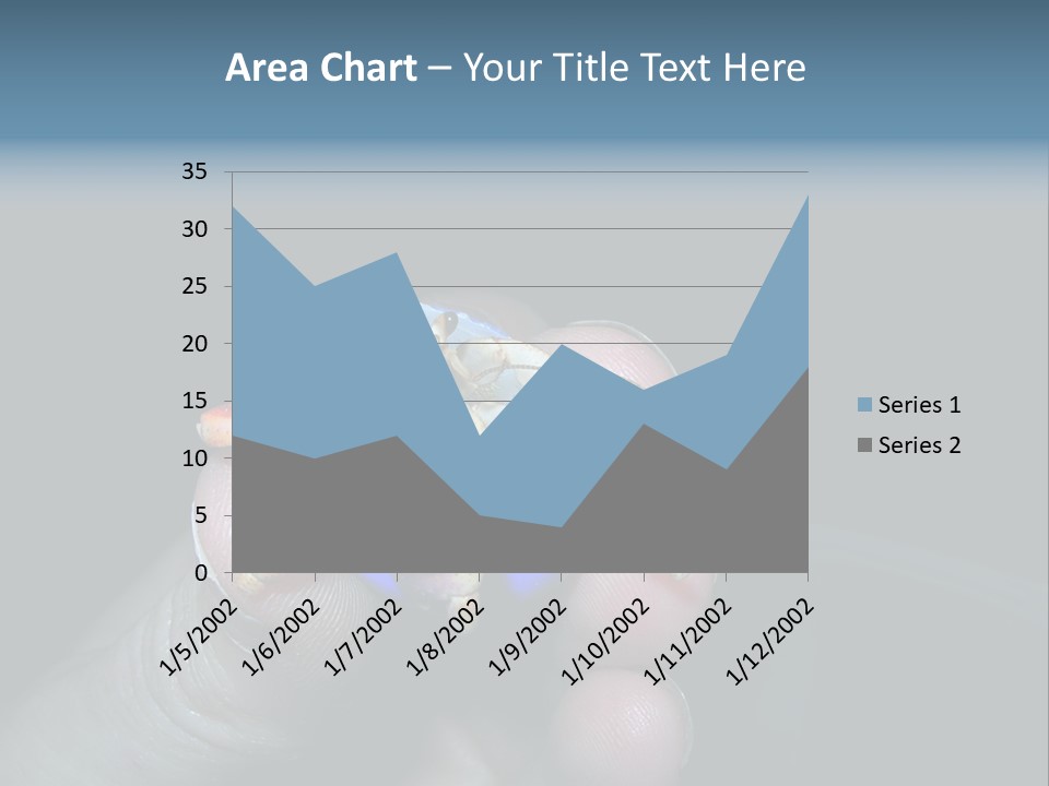 Hermit Crab PowerPoint Template