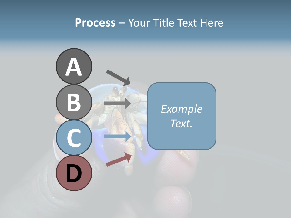 Hermit Crab PowerPoint Template