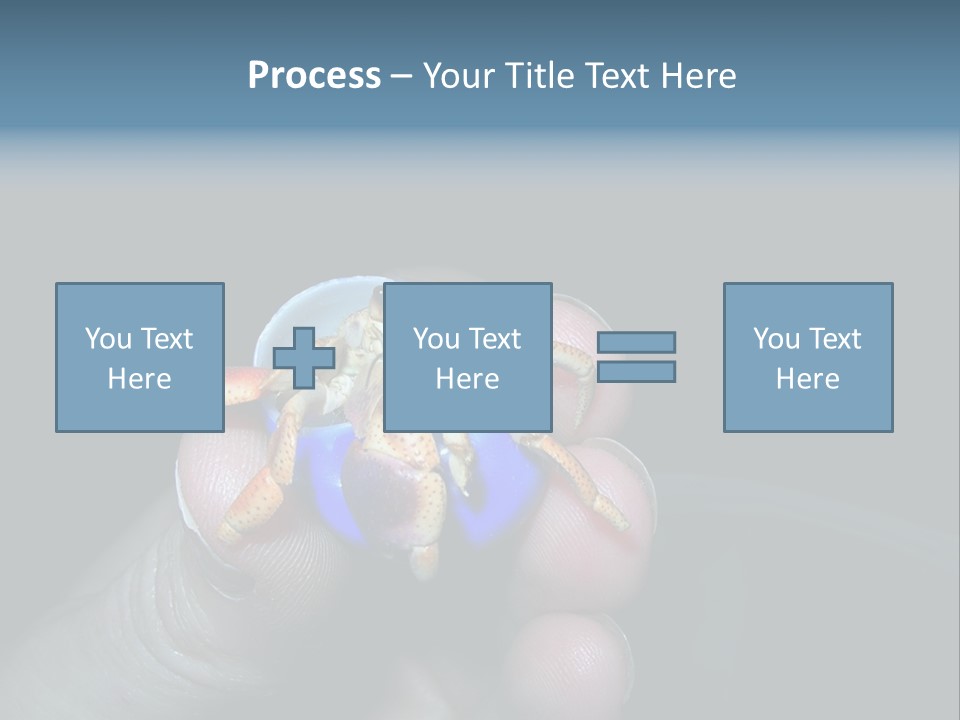 Hermit Crab PowerPoint Template