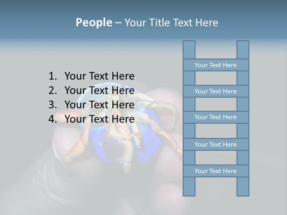 Hermit Crab PowerPoint Template