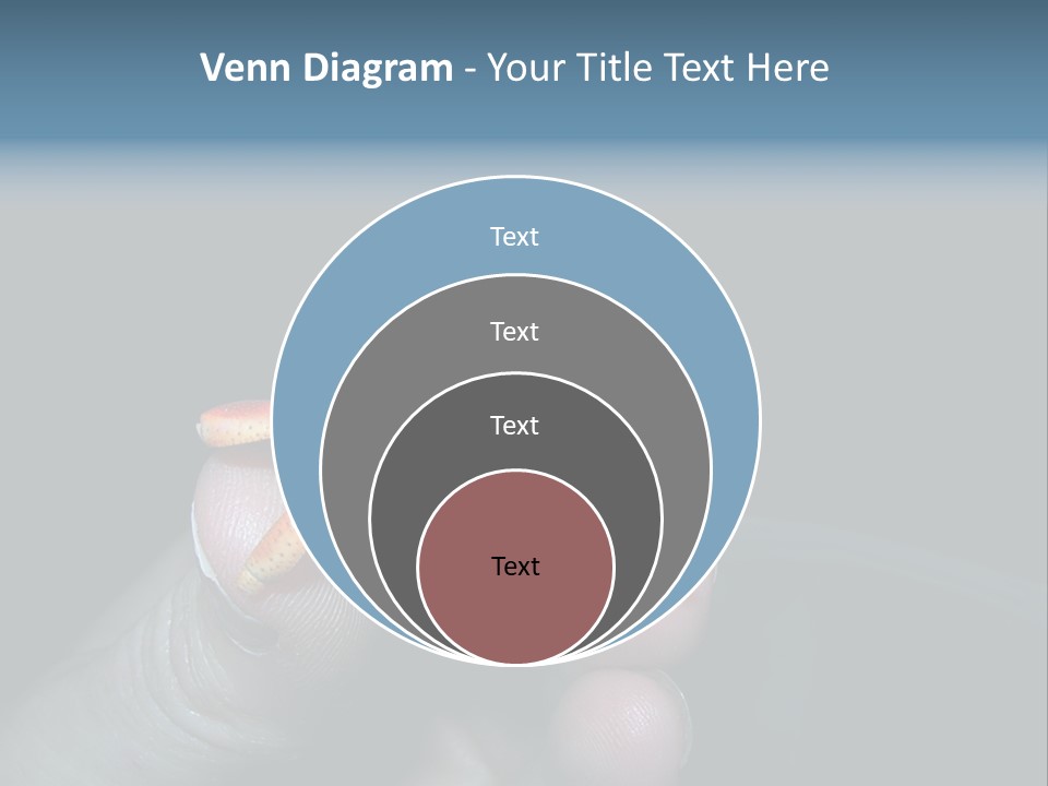 Hermit Crab PowerPoint Template