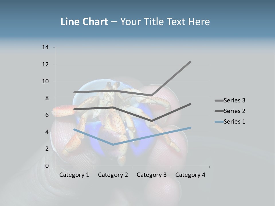 Hermit Crab PowerPoint Template