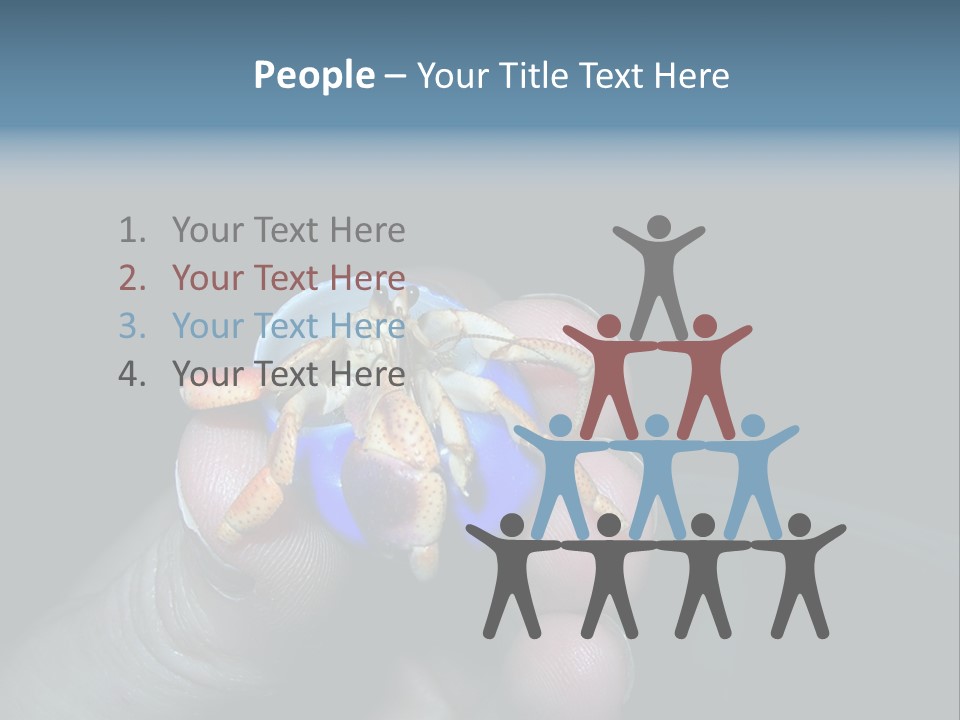 Hermit Crab PowerPoint Template