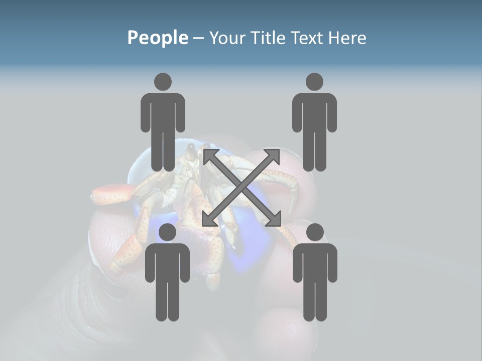 Hermit Crab PowerPoint Template