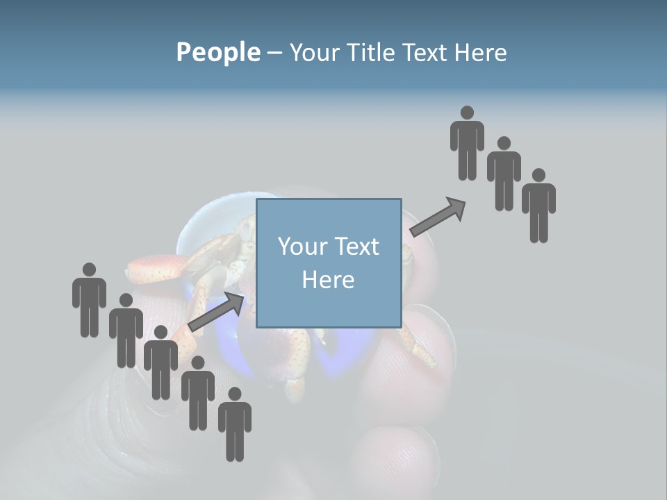 Hermit Crab PowerPoint Template