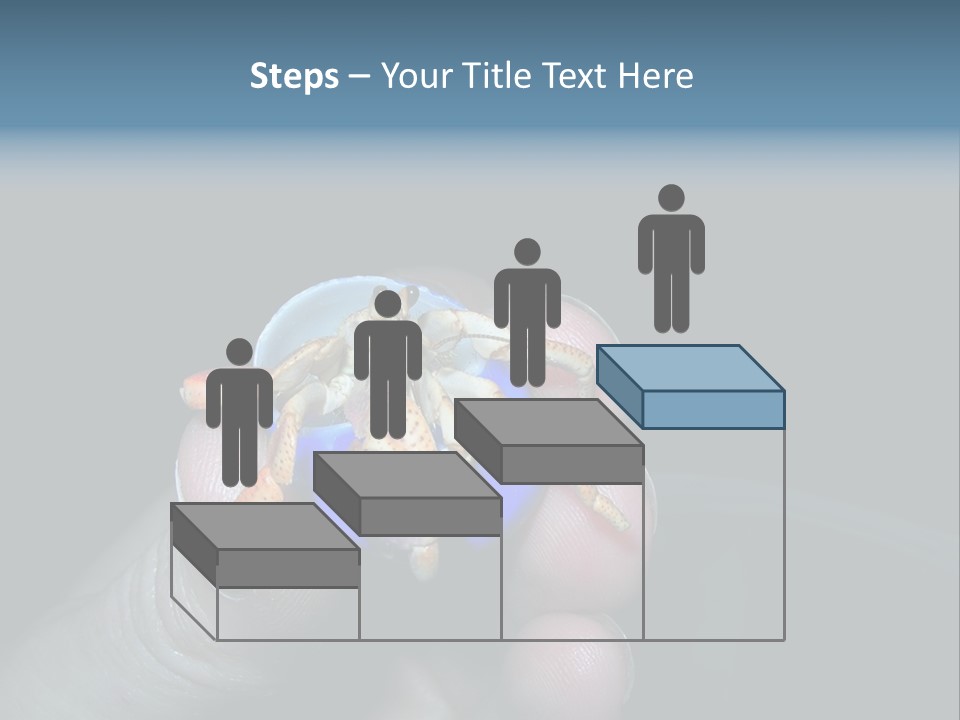 Hermit Crab PowerPoint Template