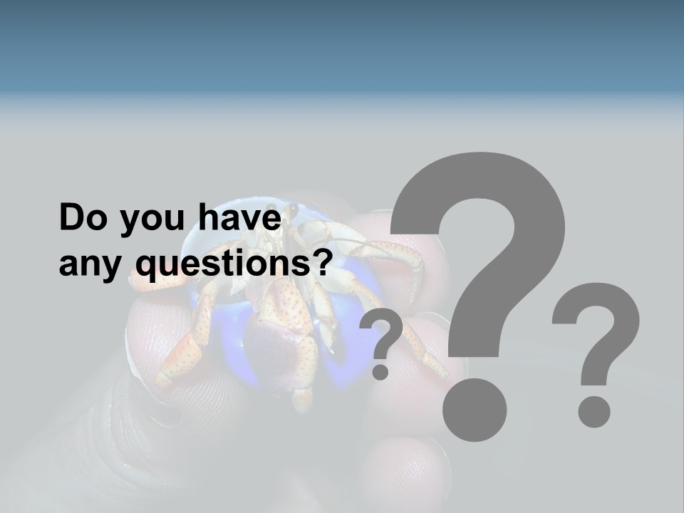 Hermit Crab PowerPoint Template