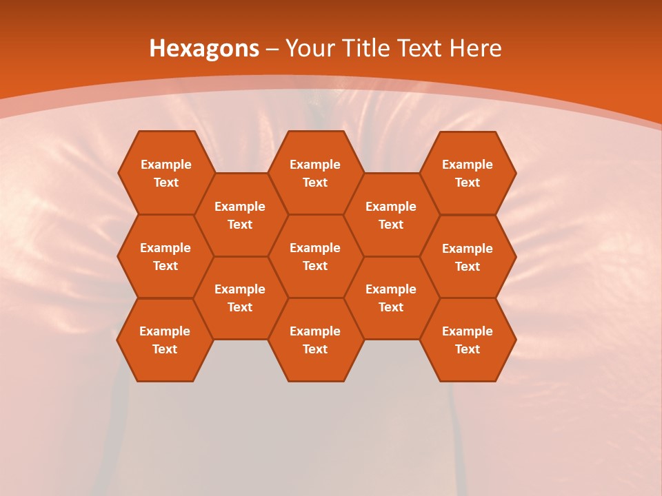 Boxer Girl PowerPoint Template