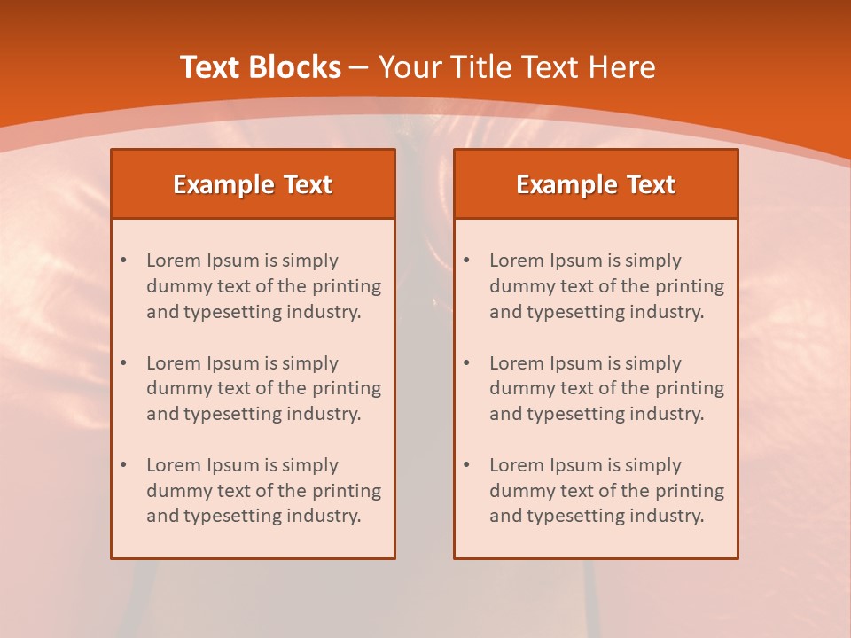 Boxer Girl PowerPoint Template