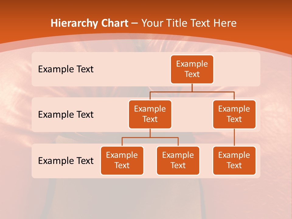 Boxer Girl PowerPoint Template