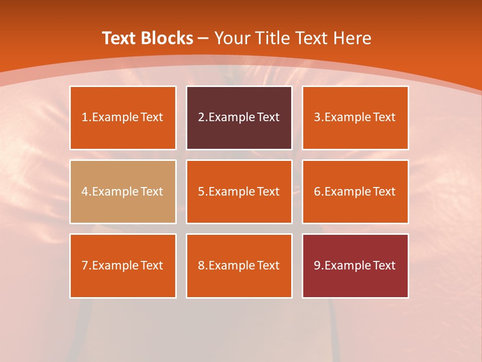 Boxer Girl PowerPoint Template