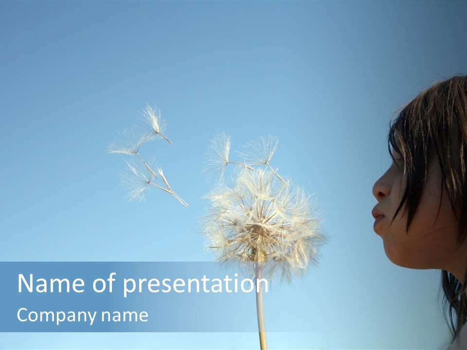 Little Girl Blows On A Seedy Pod Plant As Seeds Drift Off. PowerPoint Template