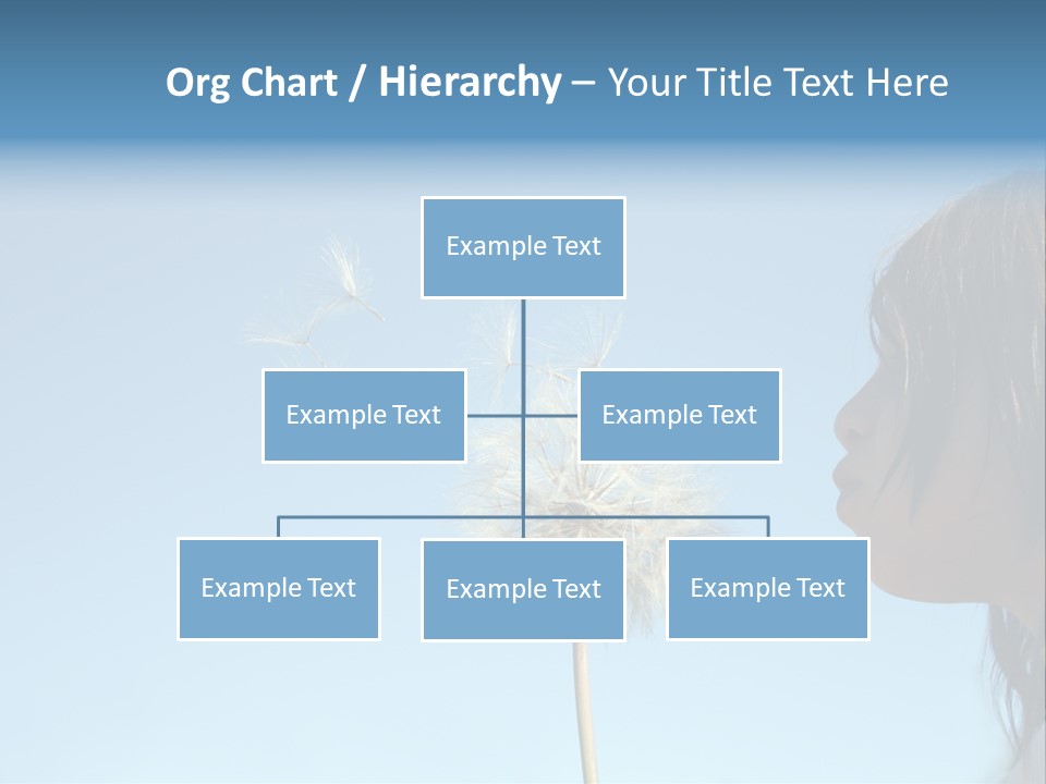 Little Girl Blows On A Seedy Pod Plant As Seeds Drift Off. PowerPoint Template