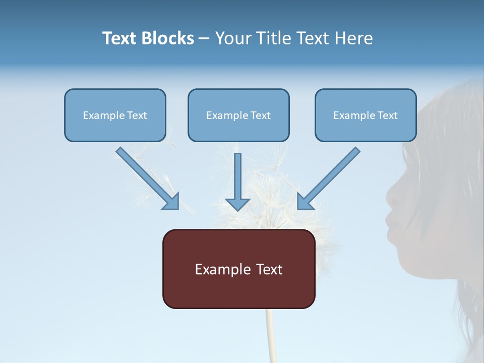 Little Girl Blows On A Seedy Pod Plant As Seeds Drift Off. PowerPoint Template