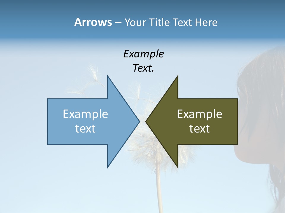 Little Girl Blows On A Seedy Pod Plant As Seeds Drift Off. PowerPoint Template