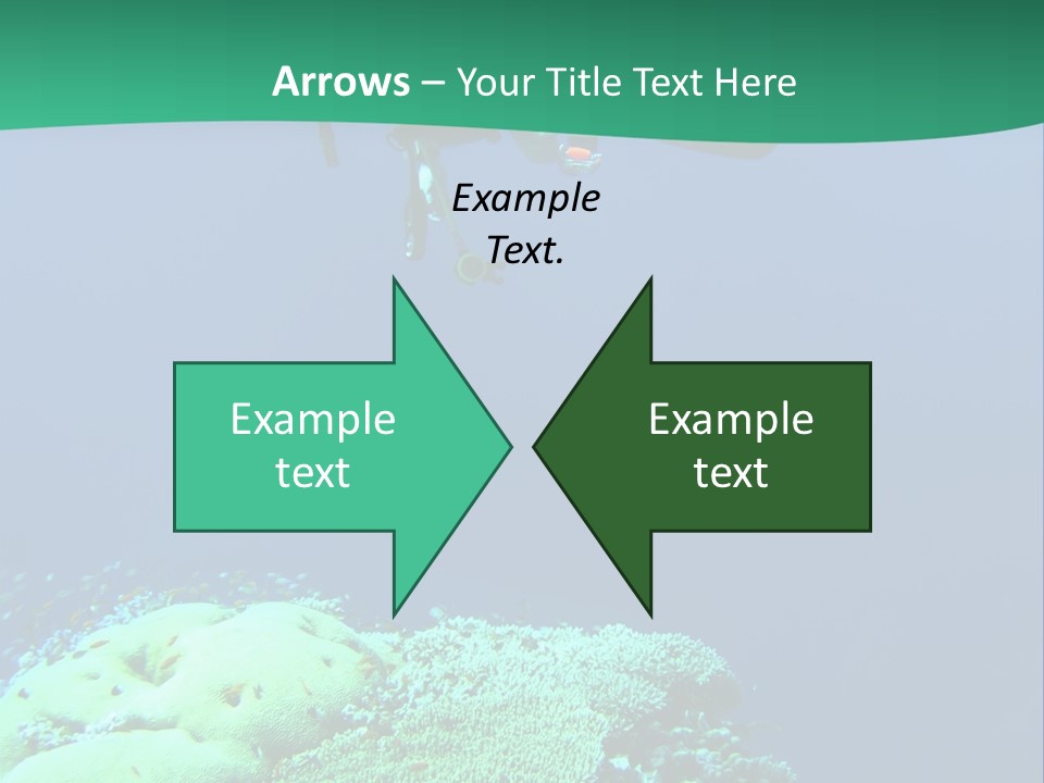 Diver In Deep And Sea Coral PowerPoint Template