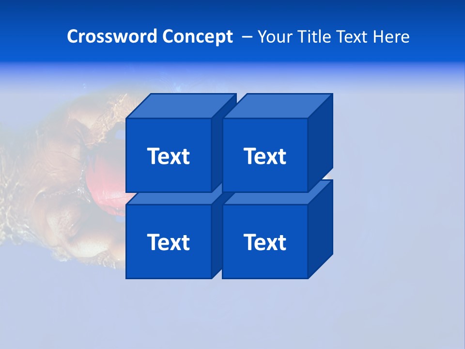 Healthy Lifestyle: This Swimmer Is Winning The Contest PowerPoint Template