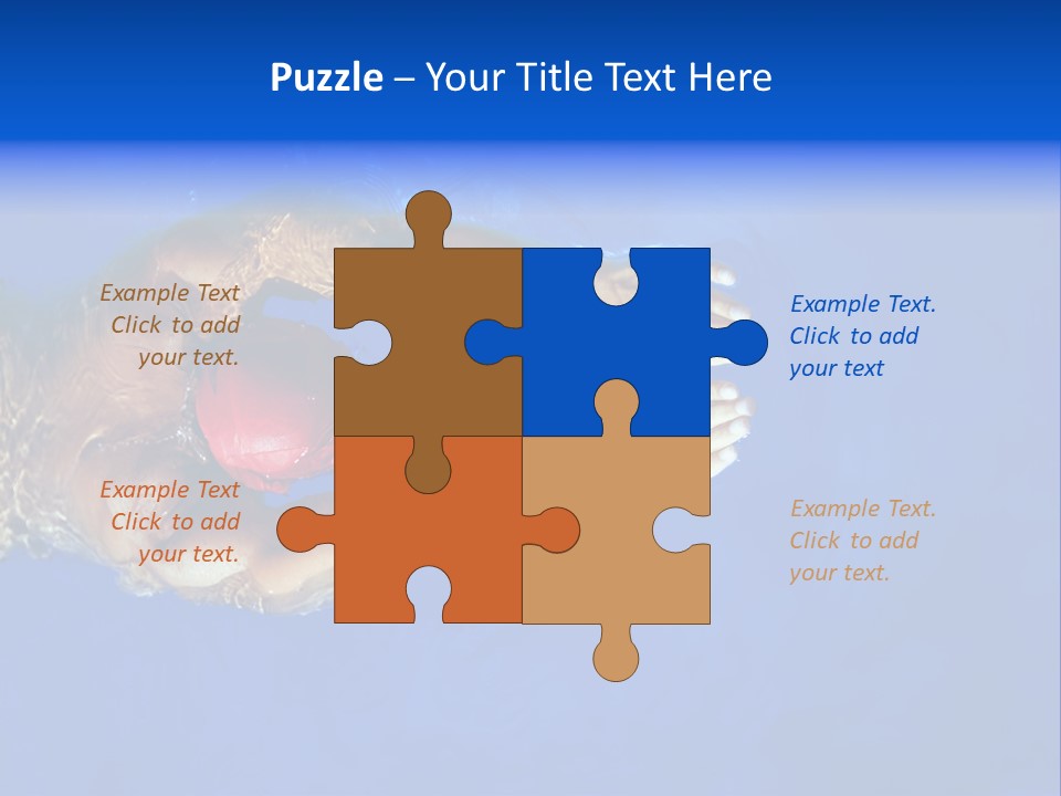 Healthy Lifestyle: This Swimmer Is Winning The Contest PowerPoint Template