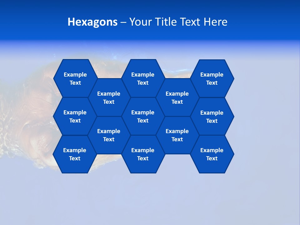 Healthy Lifestyle: This Swimmer Is Winning The Contest PowerPoint Template