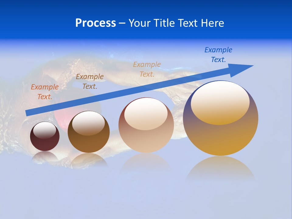 Healthy Lifestyle: This Swimmer Is Winning The Contest PowerPoint Template