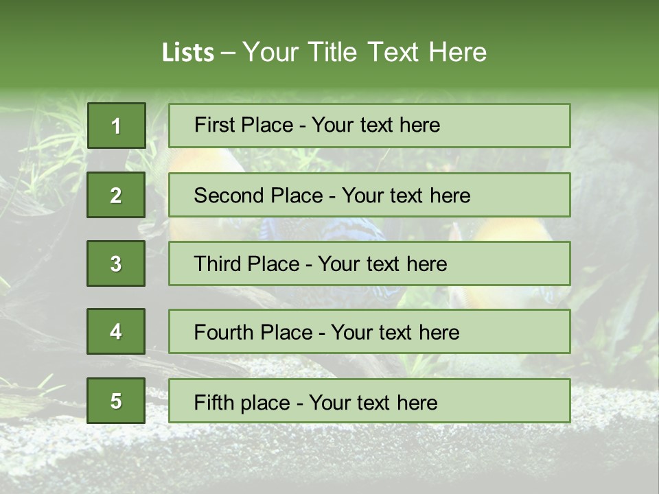 Discus Aquarium Fish PowerPoint Template