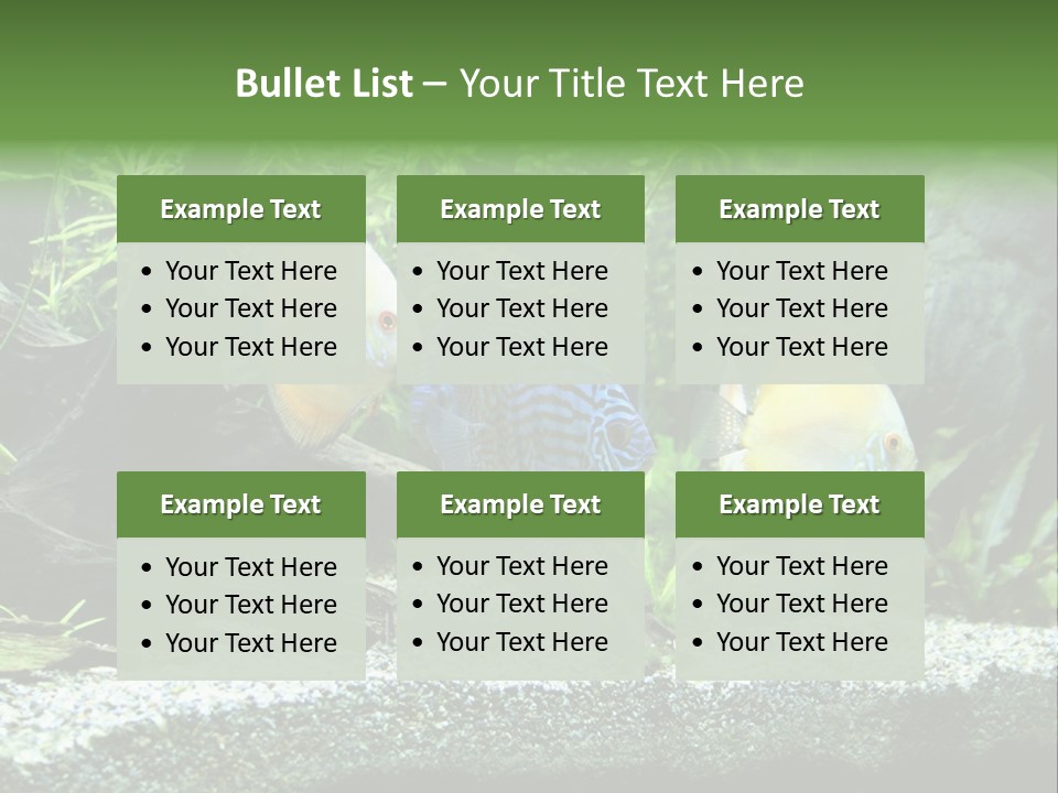 Discus Aquarium Fish PowerPoint Template