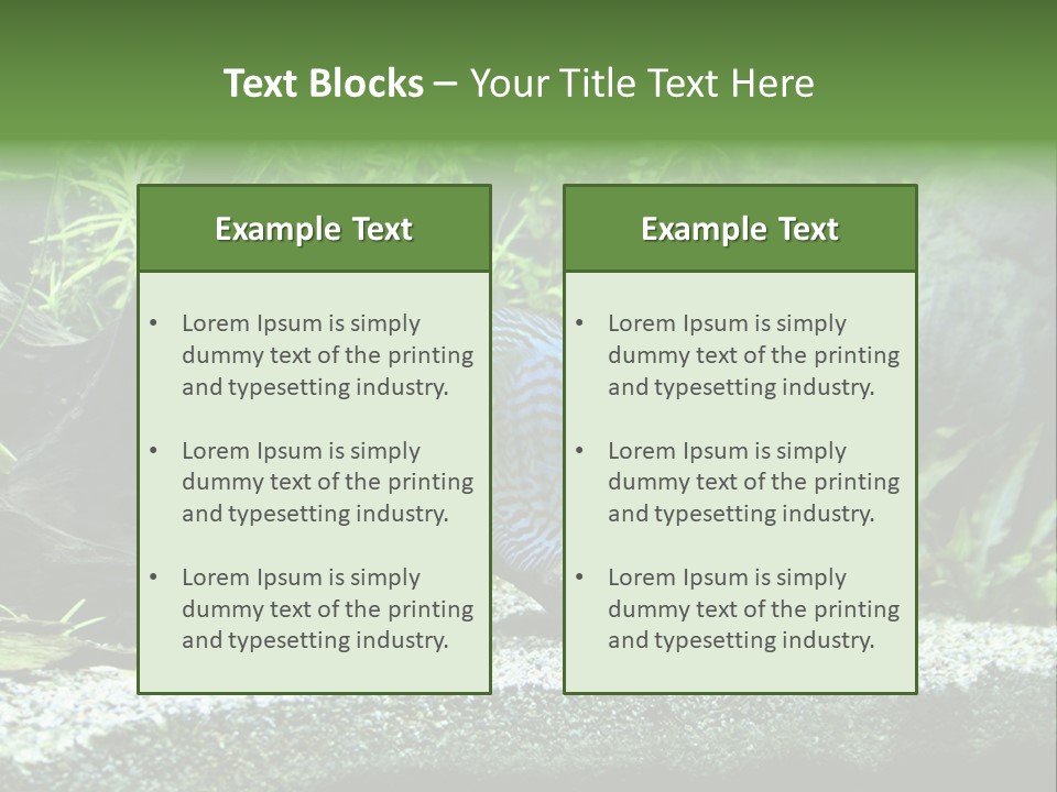 Discus Aquarium Fish PowerPoint Template
