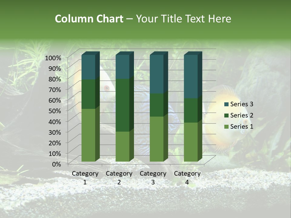 Discus Aquarium Fish PowerPoint Template