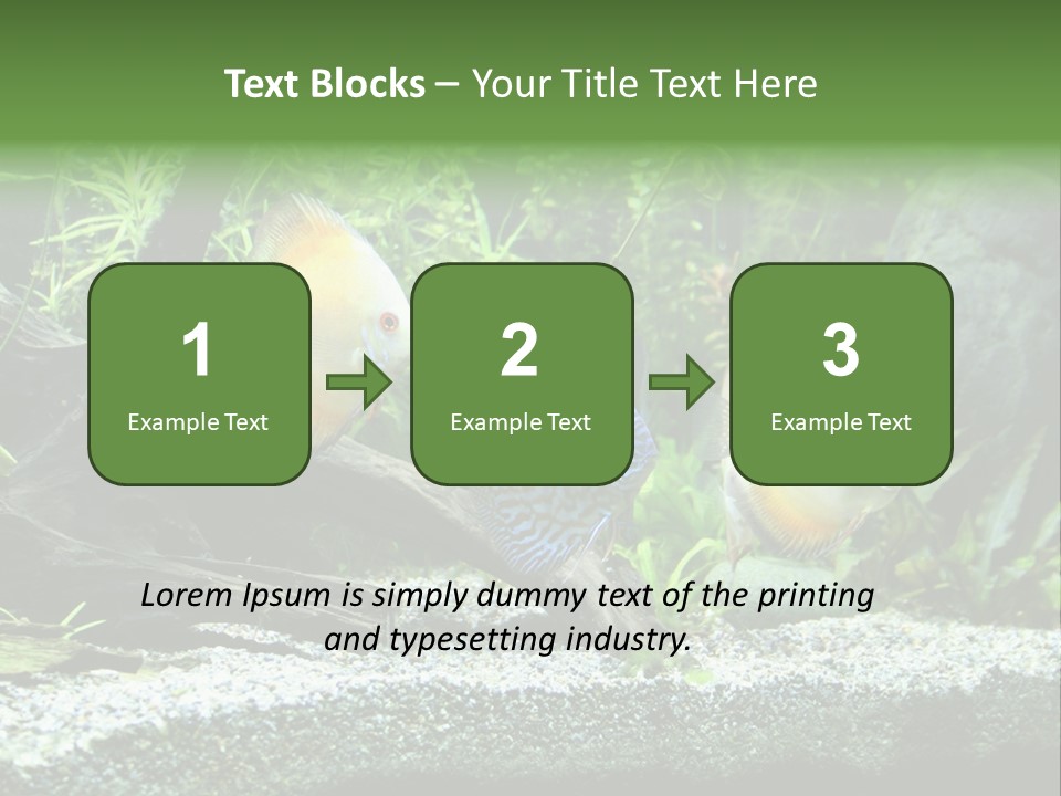 Discus Aquarium Fish PowerPoint Template