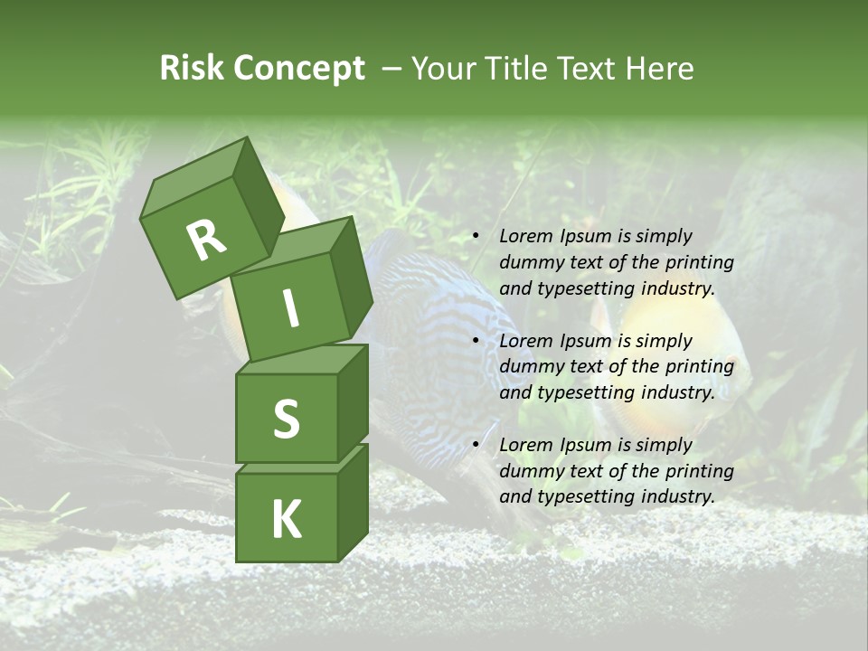 Discus Aquarium Fish PowerPoint Template