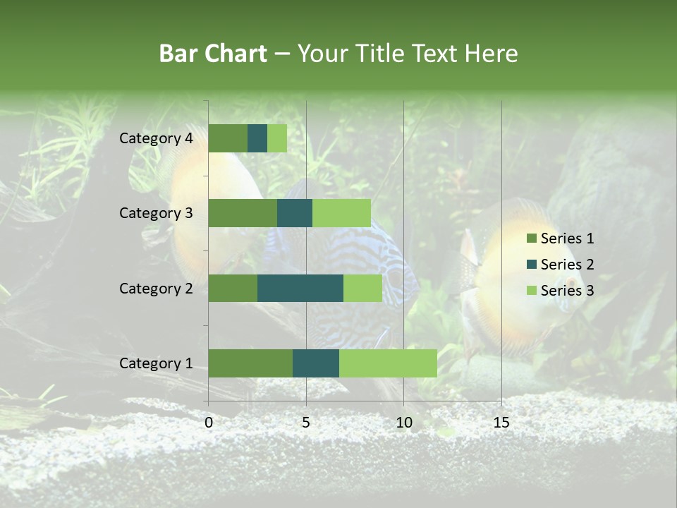 Discus Aquarium Fish PowerPoint Template