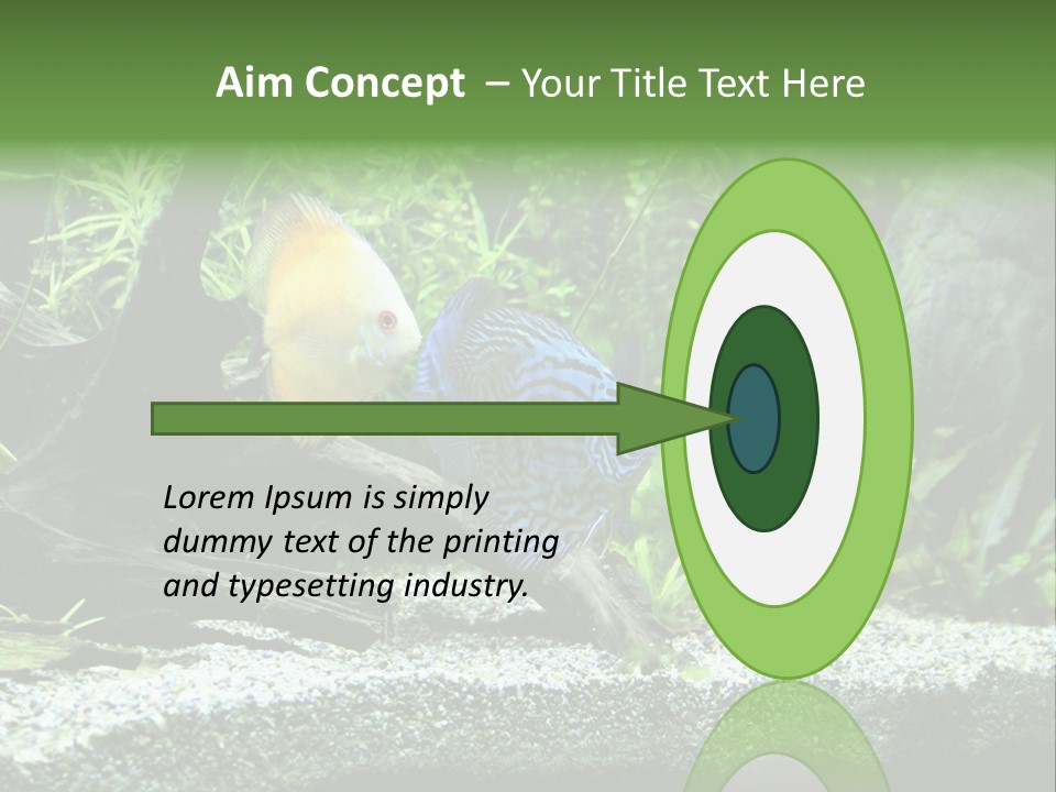 Discus Aquarium Fish PowerPoint Template