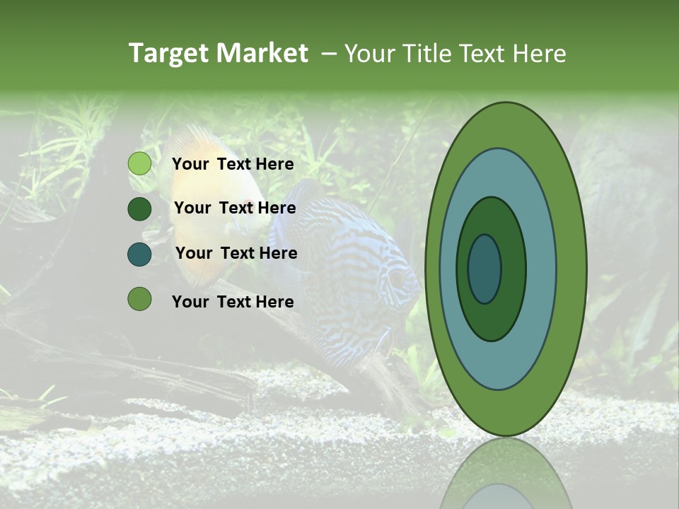 Discus Aquarium Fish PowerPoint Template