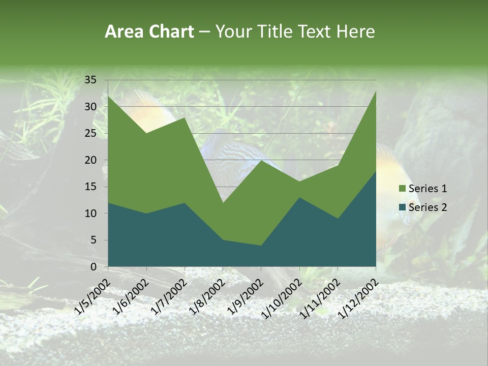 Discus Aquarium Fish PowerPoint Template