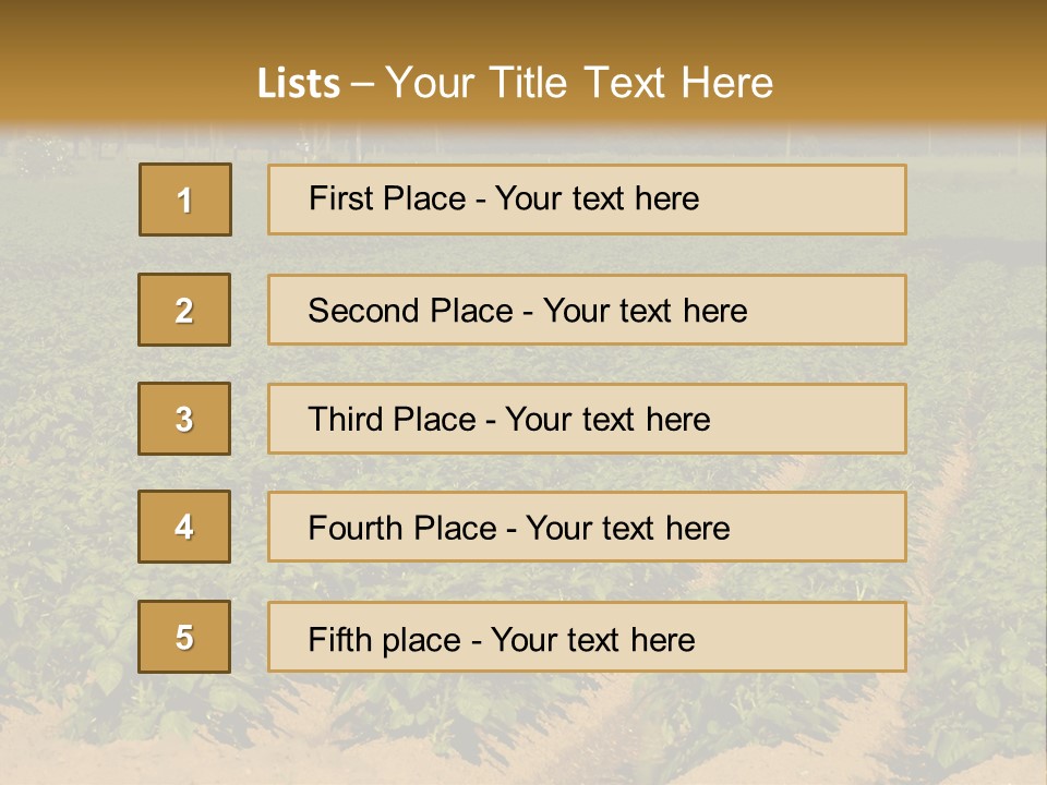 Rows Of Potato Plants, Scotland May 2005 PowerPoint Template