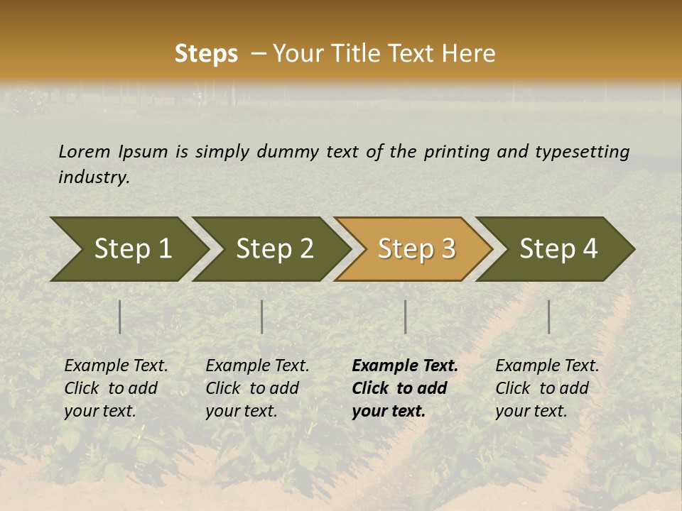 Rows Of Potato Plants, Scotland May 2005 PowerPoint Template