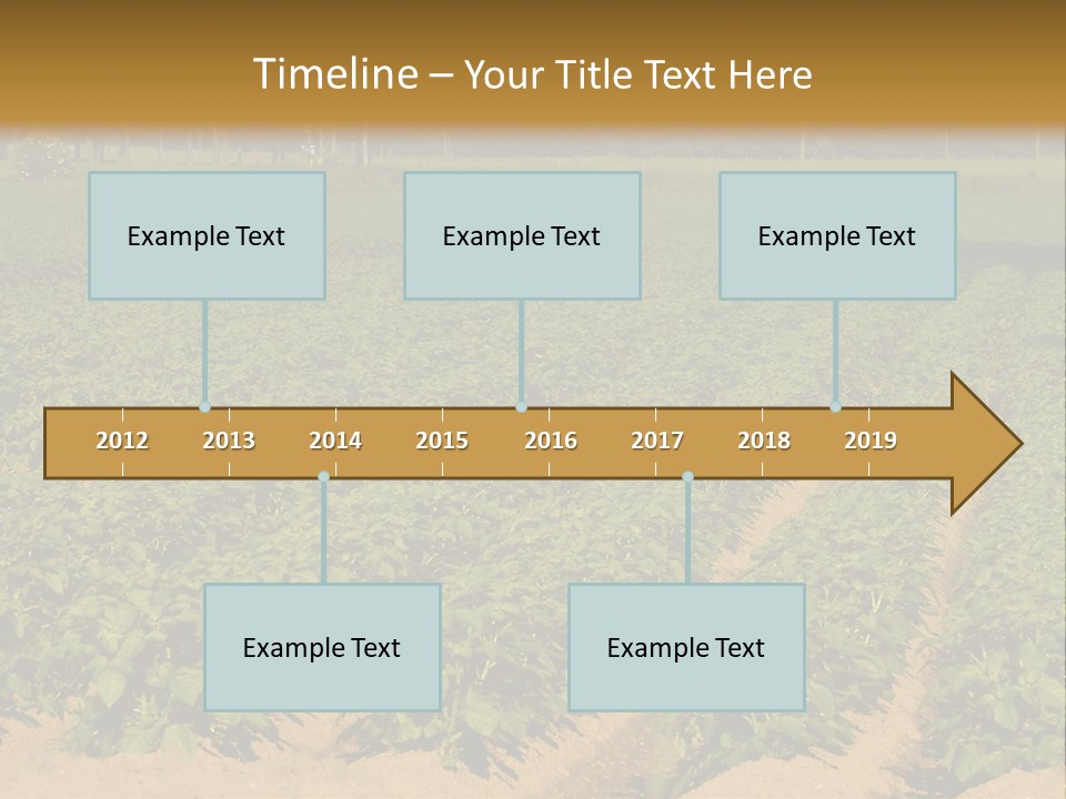 Rows Of Potato Plants, Scotland May 2005 PowerPoint Template