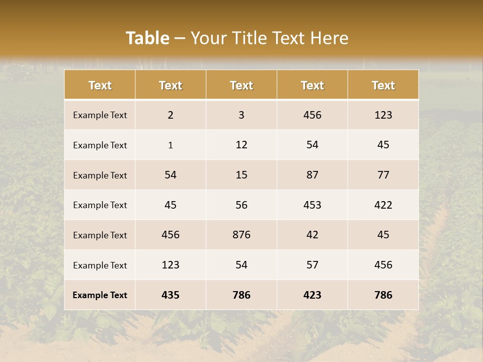 Rows Of Potato Plants, Scotland May 2005 PowerPoint Template
