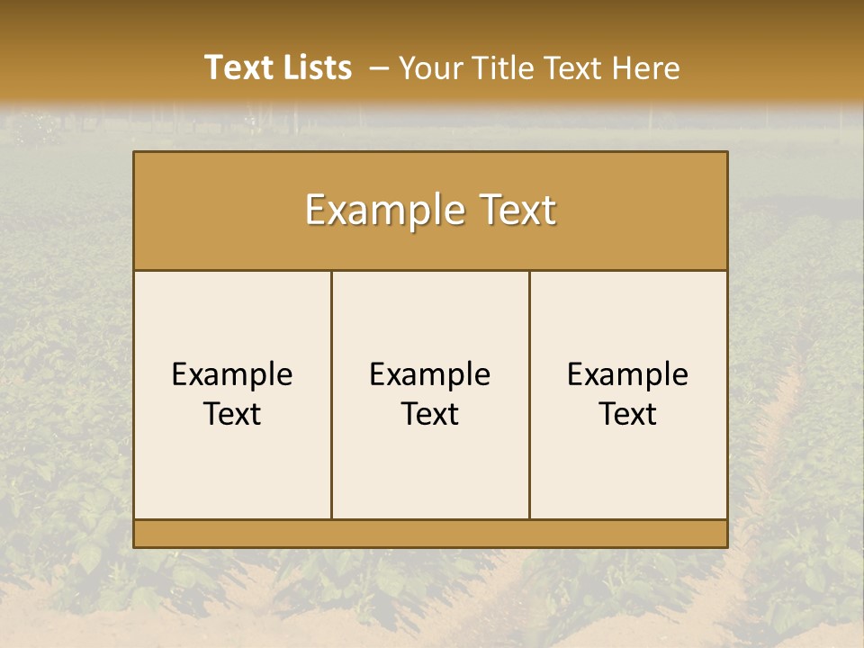 Rows Of Potato Plants, Scotland May 2005 PowerPoint Template