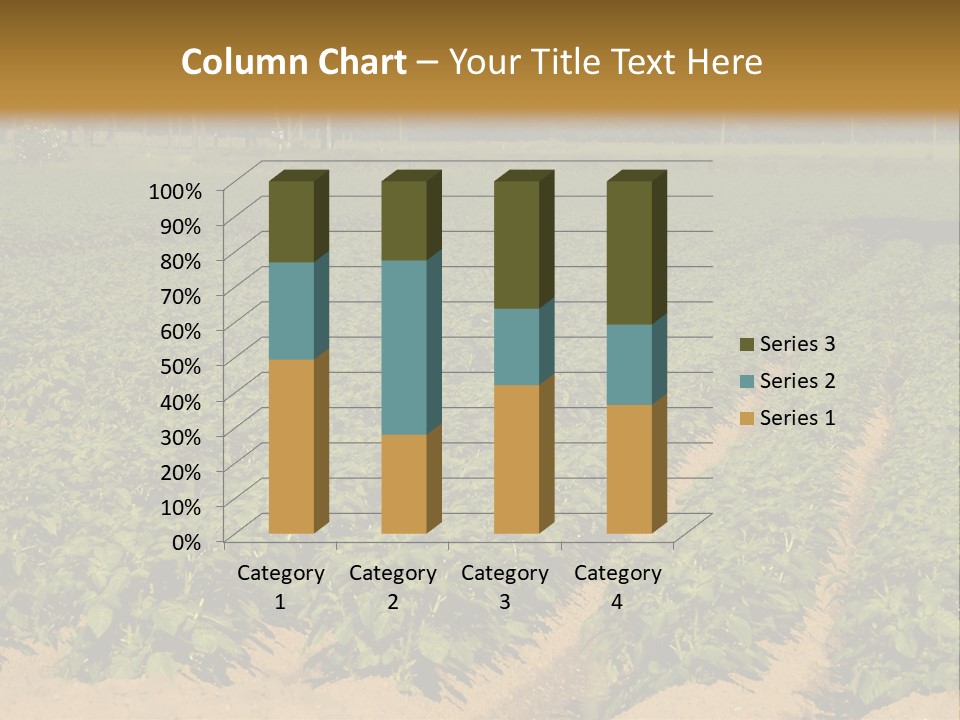 Rows Of Potato Plants, Scotland May 2005 PowerPoint Template