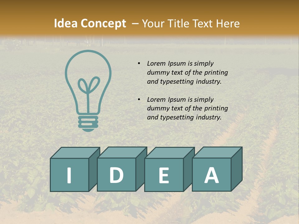 Rows Of Potato Plants, Scotland May 2005 PowerPoint Template