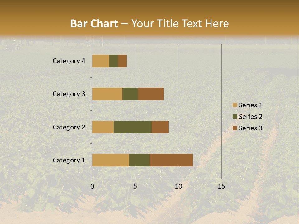 Rows Of Potato Plants, Scotland May 2005 PowerPoint Template