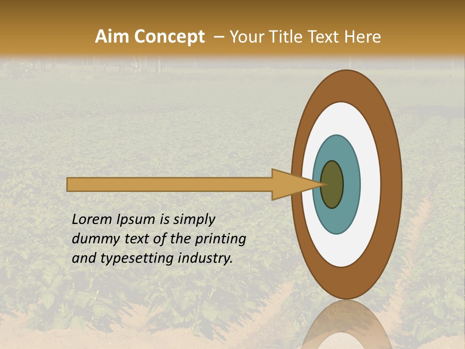 Rows Of Potato Plants, Scotland May 2005 PowerPoint Template