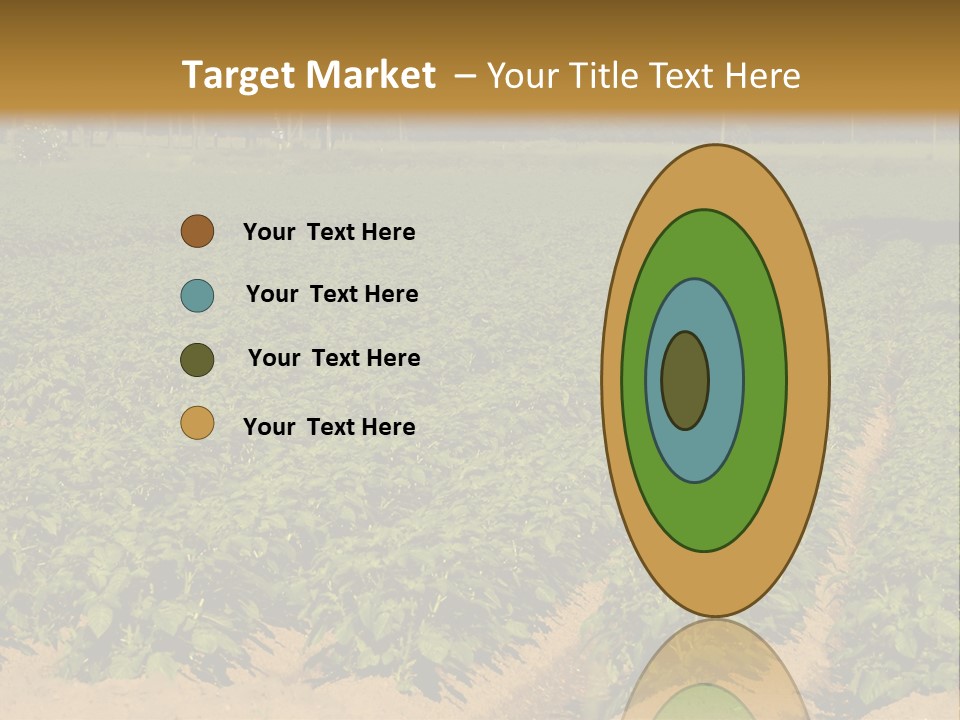 Rows Of Potato Plants, Scotland May 2005 PowerPoint Template