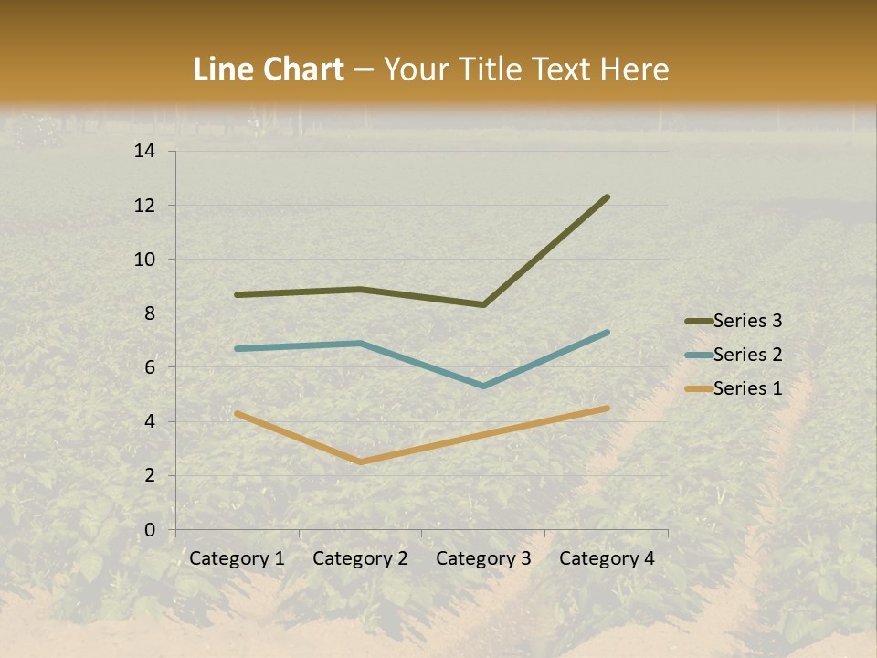 Rows Of Potato Plants, Scotland May 2005 PowerPoint Template