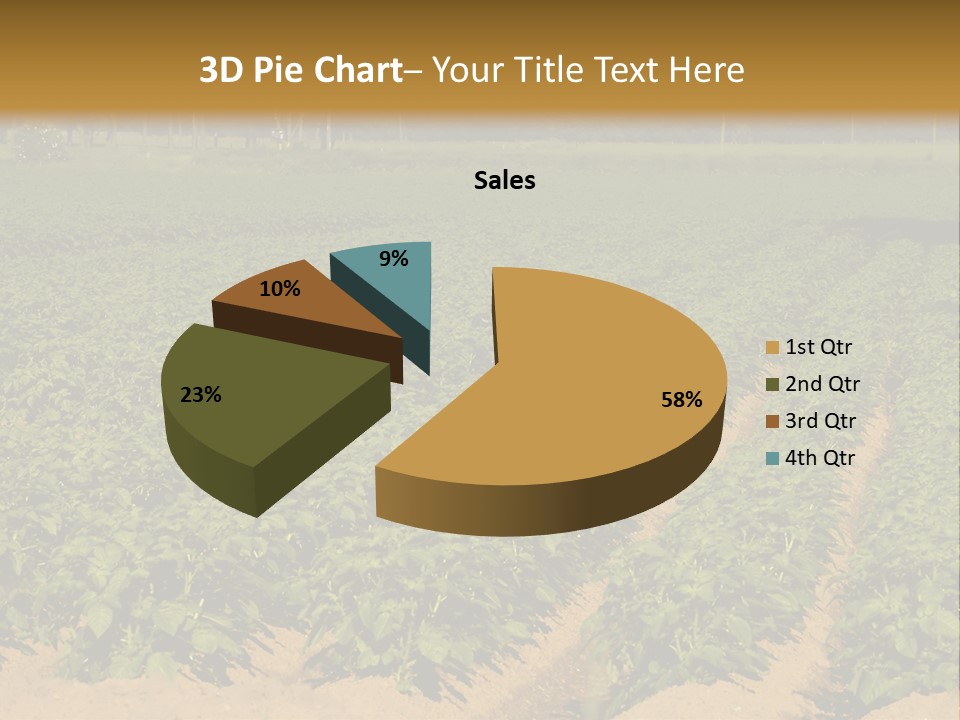 Rows Of Potato Plants, Scotland May 2005 PowerPoint Template