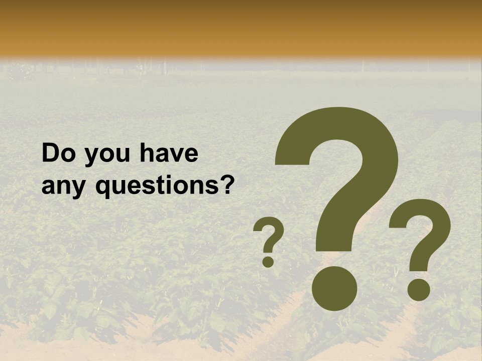 Rows Of Potato Plants, Scotland May 2005 PowerPoint Template