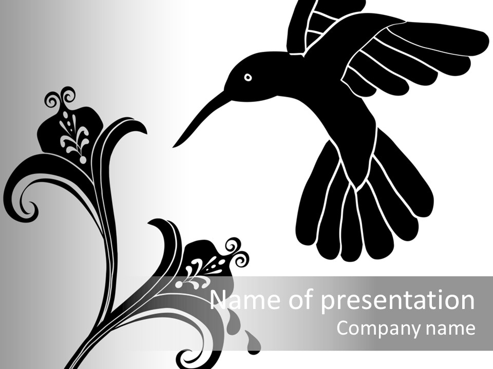 Unique Hummingbird And Flower Graphic Useful As Decoration And Ornament. Black Designs On A White Background. PowerPoint Template